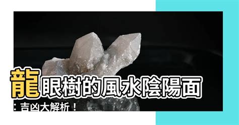 龍眼樹 風水 龍五行屬什麼